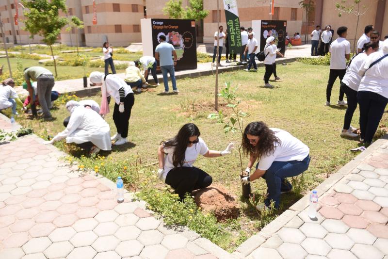 ”اورنچ مصر” تطلق حملة واسعة بمشاركة الموظفين لزراعة الأشجار المثمرة