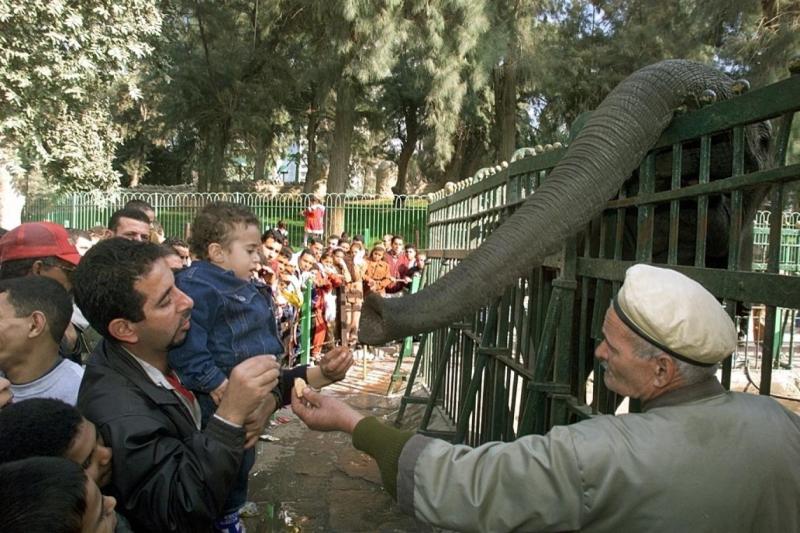 وزيرا ”الزراعة” والانتاج الحربي يبحثان الموقف التنفيذي لتطوير حديقتي الحيوان والأورمان