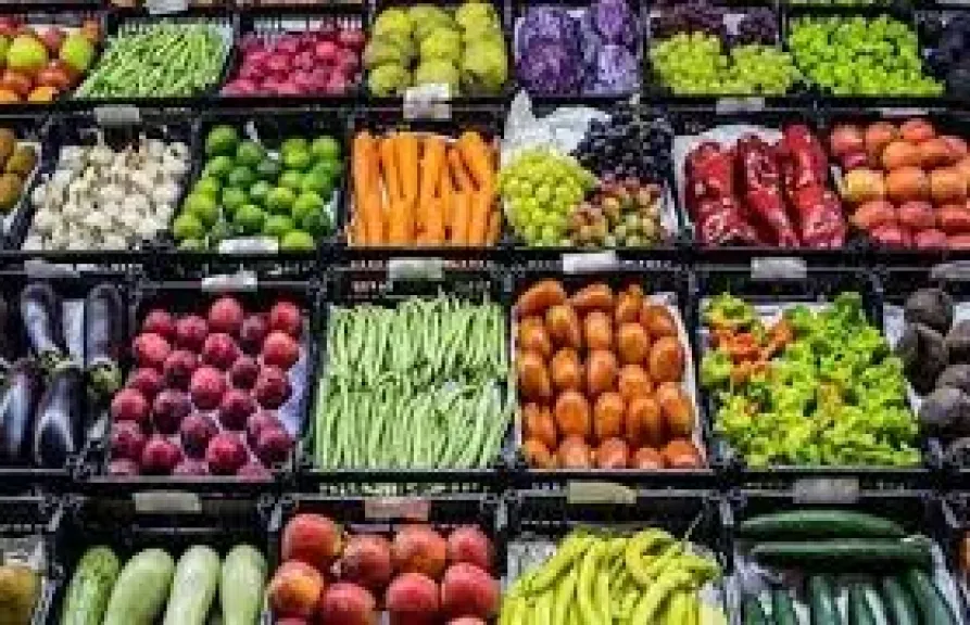 ”الزراعة” تعلن ارتفاع الصادرات الزراعية المصرية إلى 5.8 مليون طن حتى الآن