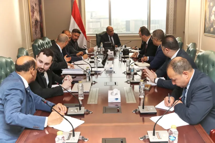 وزير الكهرباء يبحث توطين صناعة الأنظمة والمعدات والمهمات الكهربائية في إطار البرنامج النووي السلمي