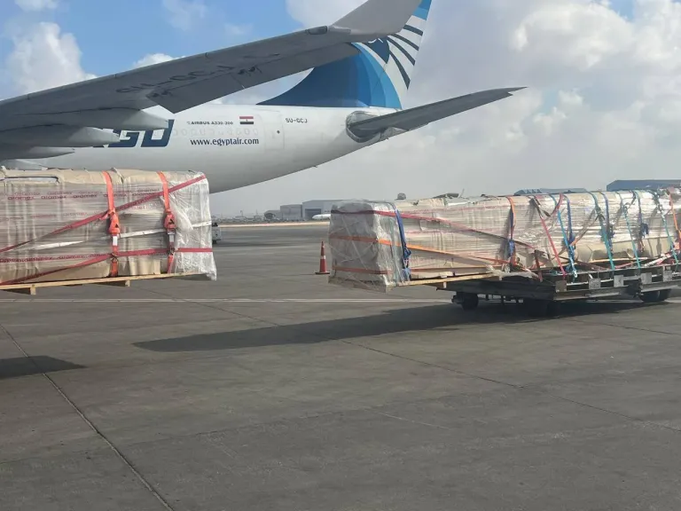 مصر للطيران للشحن الجوي تنجح في نقل شحنة حساسة من النحل الحي لأول مرة إلى مطار الباحة بالسعودية