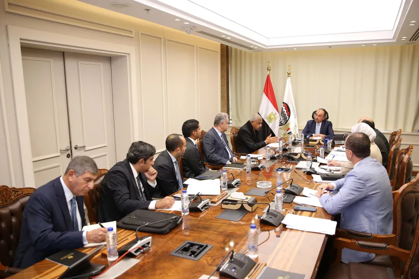 وزير قطاع الأعمال العام يبحث مع مجموعة ”طلعت مصطفى” تعزيز التعاون في المشروعات السياحية والفندقية