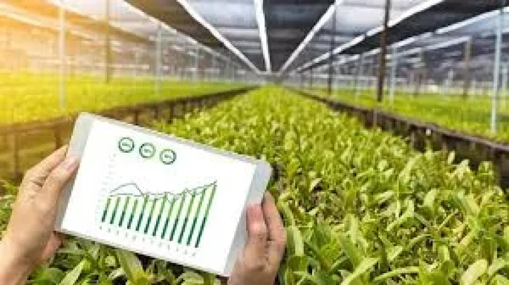 مركز تغير المناخ يقدم نصائح للمزارعين تزامنًا مع سقوط الأمطار