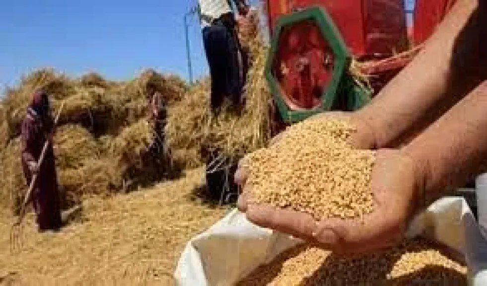 وزير التموين والتجارة الداخلية: الاحتياطي الاستراتيجي من السلع الأساسية آمن ويُجاوز معدلات العام الماضي