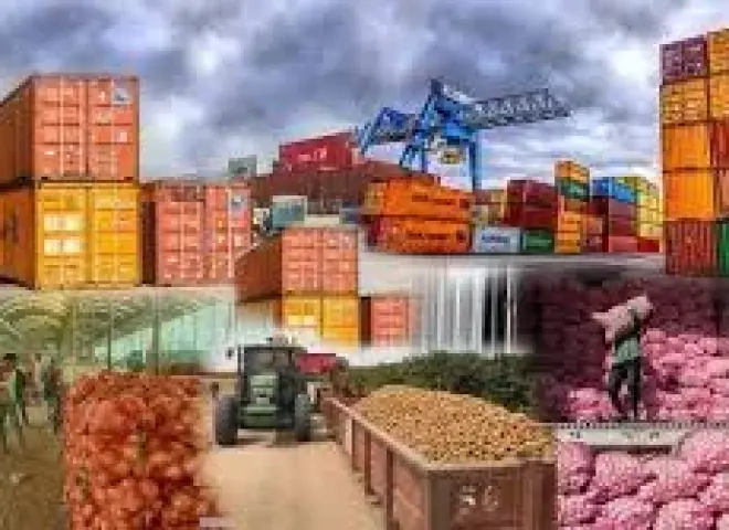 زيادة في الصادرات غير البترولية بنسبة 19% لتصل إلى 40,6 مليار دولار