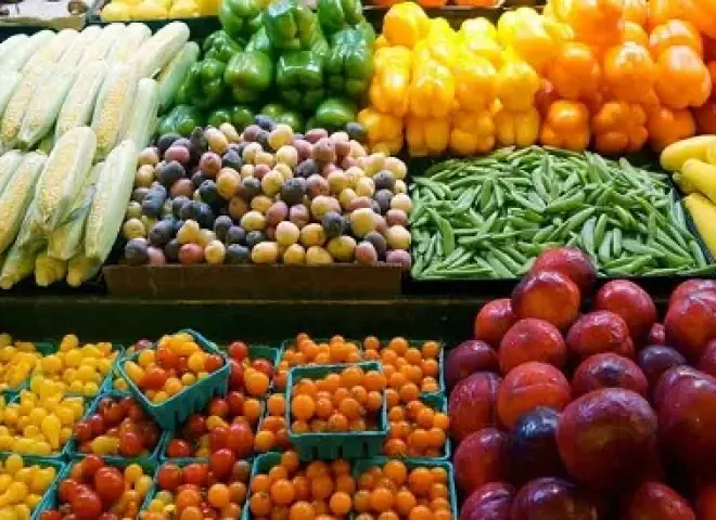 وزير الزراعة يعلن تحقيق مصر 8.5 مليون طن صادرات الزراعية حتى الآن