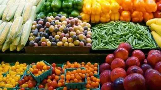 وزير الزراعة يعلن تحقيق مصر 8.5 مليون طن صادرات الزراعية حتى الآن