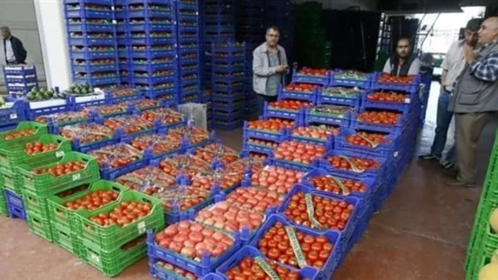 صادرات الحاصلات الزراعية تقفز إلى 8.8 مليون طن