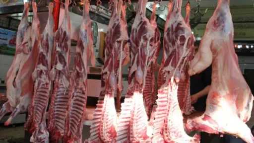 شعبة القصابين: أسعار اللحوم في متناول الجميع.. وزيادة بسيطة خلال شهر رمضان بسبب الركود