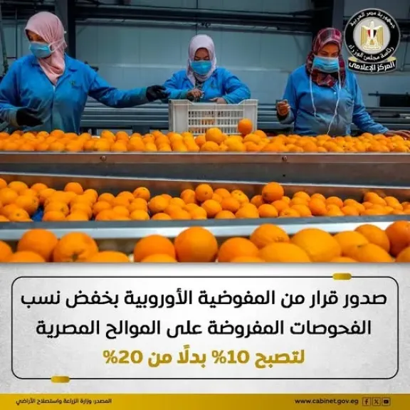 الزراعة: المفوضية الأوروبية توافق على خفض نسب الفحوصات الإضافية المفروضة على شحنات الموالح المصرية