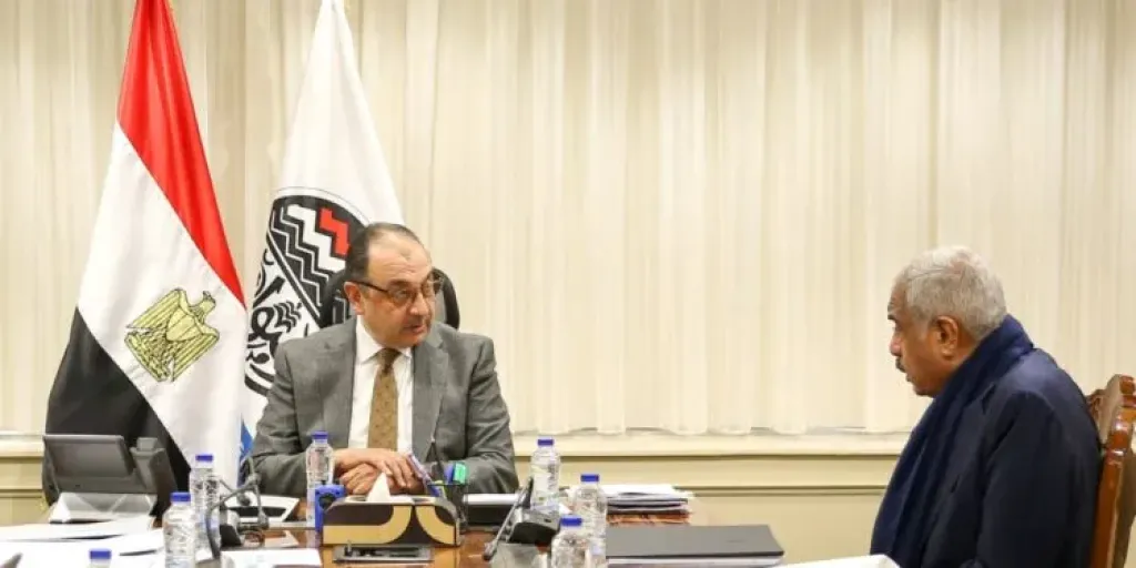 وزير قطاع الأعمال يبحث تعزيز التعاون مع “طلعت مصطفى” لتطوير الفنادق التاريخية والسياحية