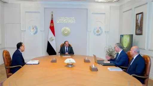 الرئيس السيسي يوجه بضرورة الالتزام بسداد مستحقات شركات البترول والغاز العاملة في مصر