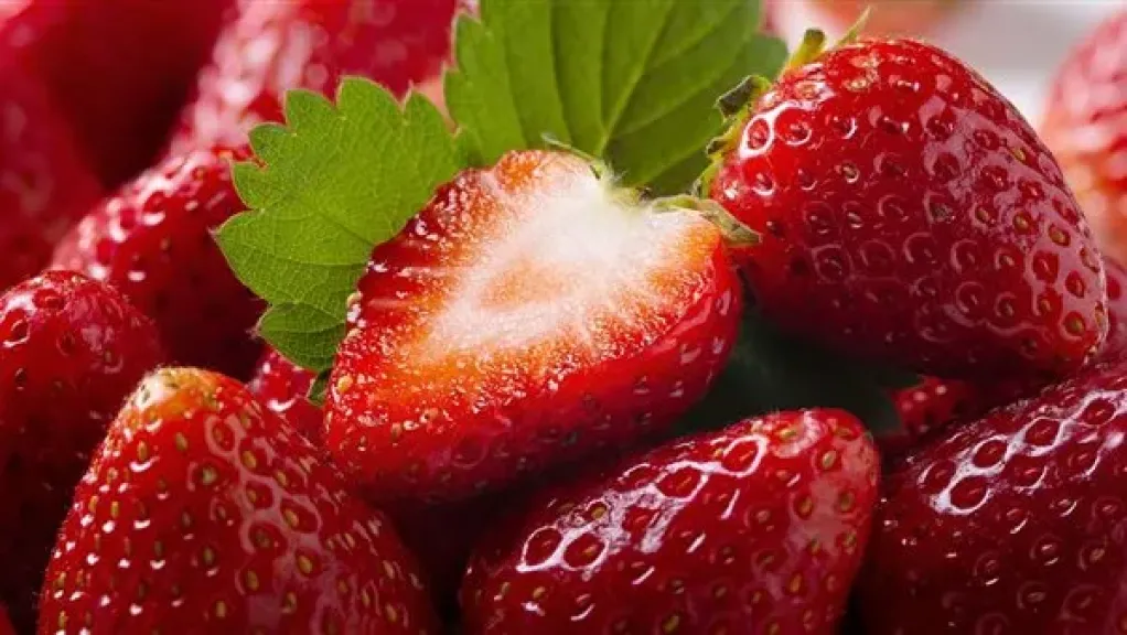 الزراعة: 2025 عام الإنجازات للصادرات من الفراولة مع توسع مستمر للأسواق العالمية