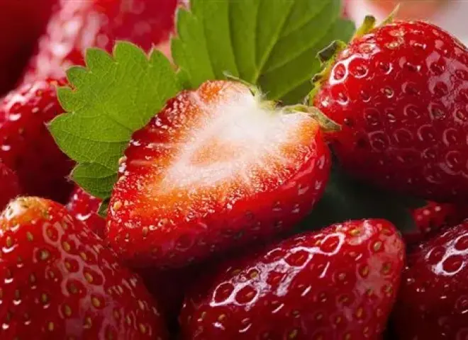 الزراعة: 2025 عام الإنجازات للصادرات من الفراولة مع توسع مستمر للأسواق العالمية