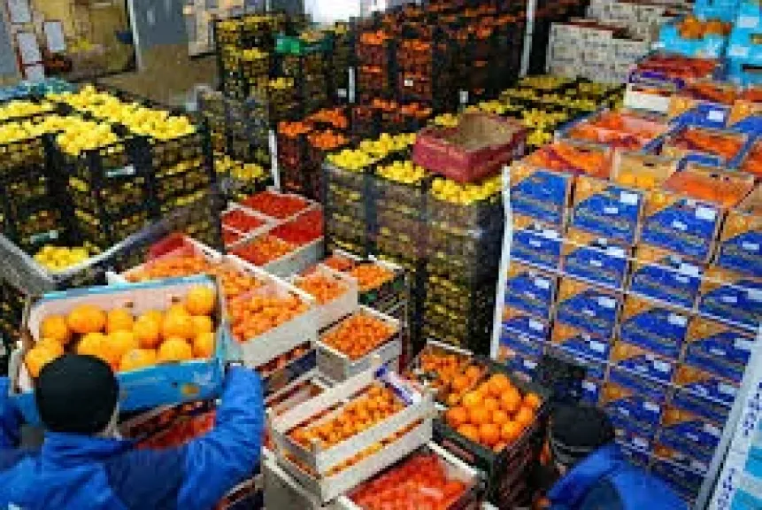 الحكومة تتابع تداعيات غلق المجال الجوي في عدد من الدول على حركة الصادرات