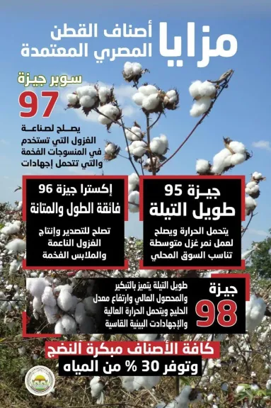 الزراعة” تعلن خريطة أصناف القطن المعتمدة لموسم 2026