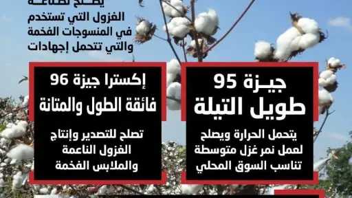 الزراعة” تعلن خريطة أصناف القطن المعتمدة لموسم 2026