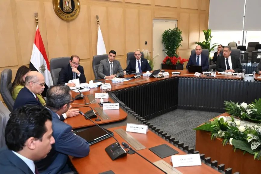 وزير الصناعة يبحث مع وزيري الاستثمار والتجارة الخارجية والمالية محاور البرنامج الوطني لتنمية صناعة السيارات