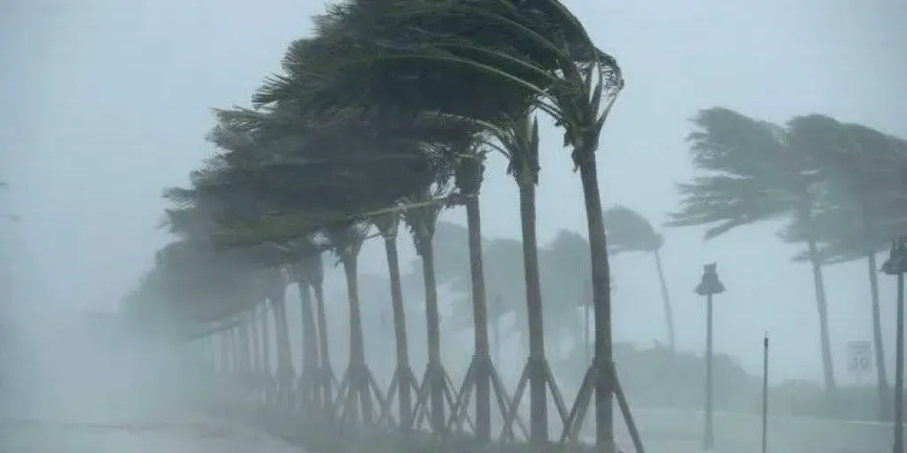 وزارة الصحة ترفع درجة الاستعداد القصوى لمواجهة تقلبات الطقس الشديدة