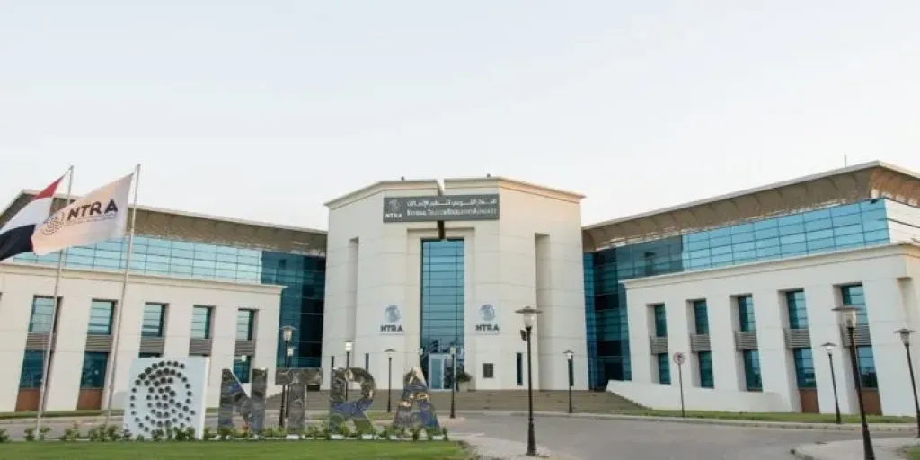 تنظيم الاتصالات: تطبيق خدمة تقسيط الرسوم المستحقة على الهواتف المستوردة من خلال فاليو