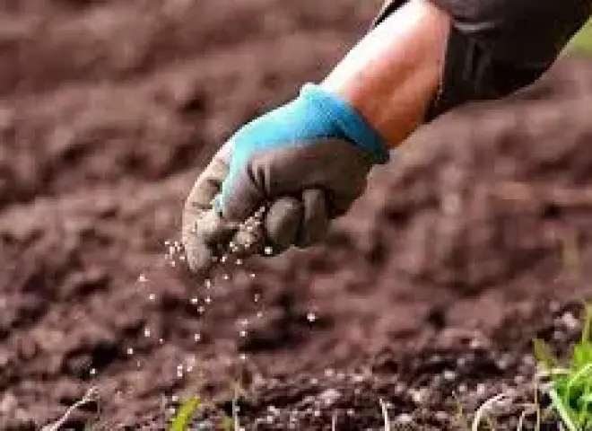 10% ارتفاعا مرتقبا في أسعار الأسمدة الحرة بالسوق المحلية