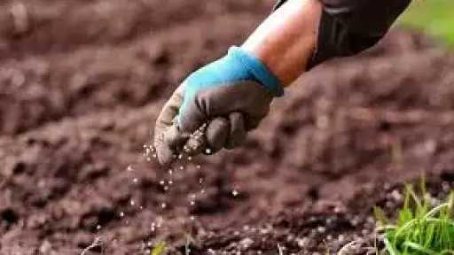 10% ارتفاعا مرتقبا في أسعار الأسمدة الحرة بالسوق المحلية