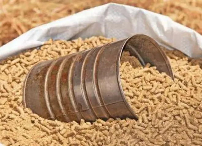 اتحاد منتجي الدواجن: الأعلاف ارتفعت 25% خلال أسبوعين