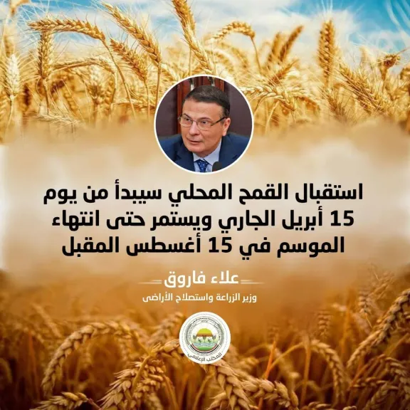 وزير الزراعة يعلن الاستعدادات النهائية لحصاد القمح: 2500 جنيه للإردب وصرف المستحقات خلال 48 ساعة