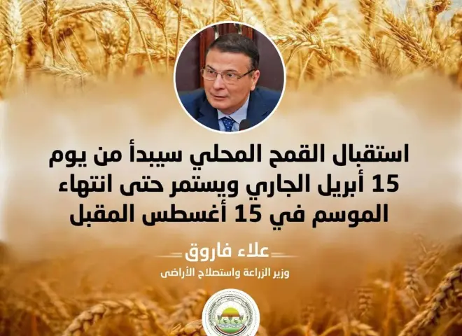 وزير الزراعة يعلن الاستعدادات النهائية لحصاد القمح: 2500 جنيه للإردب وصرف المستحقات خلال 48 ساعة
