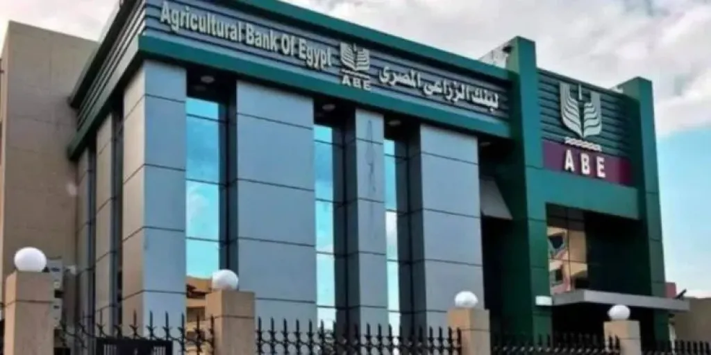 البنك الزراعي يتسلم 464 ألف طن قمح بقيمة 7.2 مليار جنيه خلال شهر بزيادة 15%