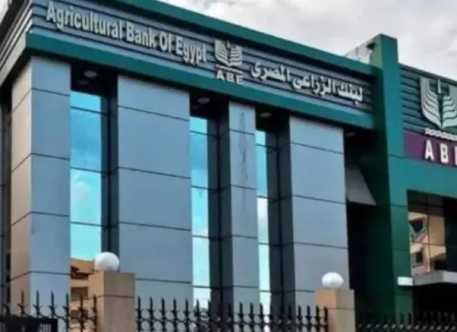 البنك الزراعي يتسلم 464 ألف طن قمح بقيمة 7.2 مليار جنيه خلال شهر بزيادة 15%