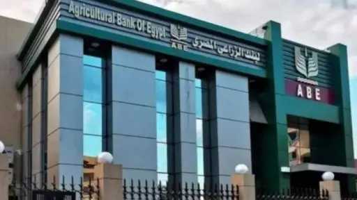 البنك الزراعي يتسلم 464 ألف طن قمح بقيمة 7.2 مليار جنيه خلال شهر بزيادة 15%