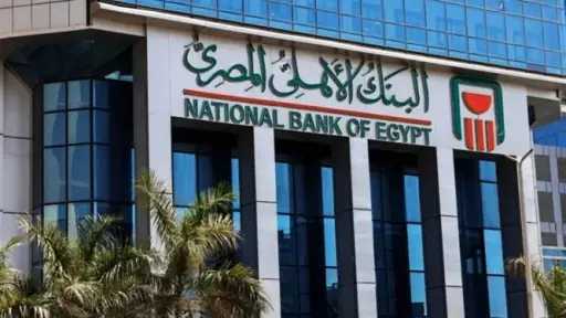 البنك الأهلى المصري يضخ 250 مليون جنيه فى شركة التحالف المصرى المملوكة لشركة سيرا بنسبة 70%