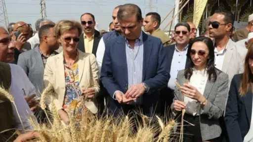 وزير الزراعة: طفرة تاريخية ونقلة نوعية في قطاع الزراعة والأمن الغذائي في عهد الرئيس السيسي