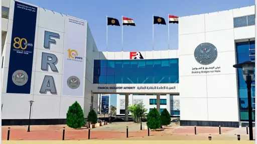 الرقابة المالية تمنح 13 شركة الموافقة على مزاولة أنشطة مالية غير مصرفية