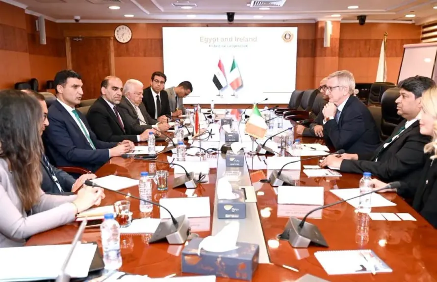 تعزيز التعاون لنقل خبرة أيرلندا للسوق المصري في استخدام الذكاء الاصطناعي