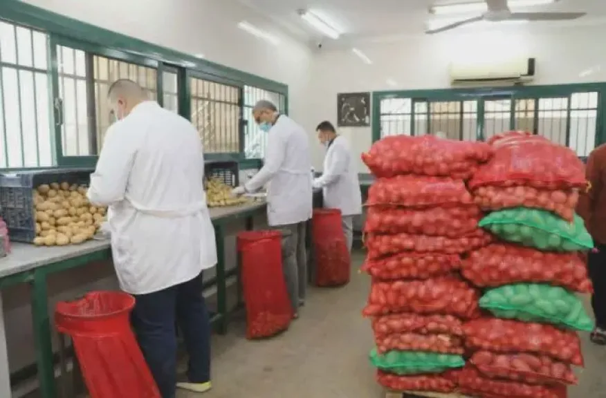 وزير الزراعة يعلن تجاوز الصادرات الزراعية المصرية 5.8 مليون طن بالتزامن مع جهود فتح الأسواق الجديدة