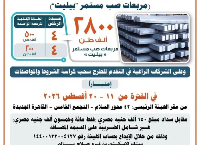 التنمية الصناعية تطرح 8 رخص جديدة لإنتاج مربعات الصب المستمر ”بيليت” بطاقة إجمالية 2.8 مليون طن سنويًا