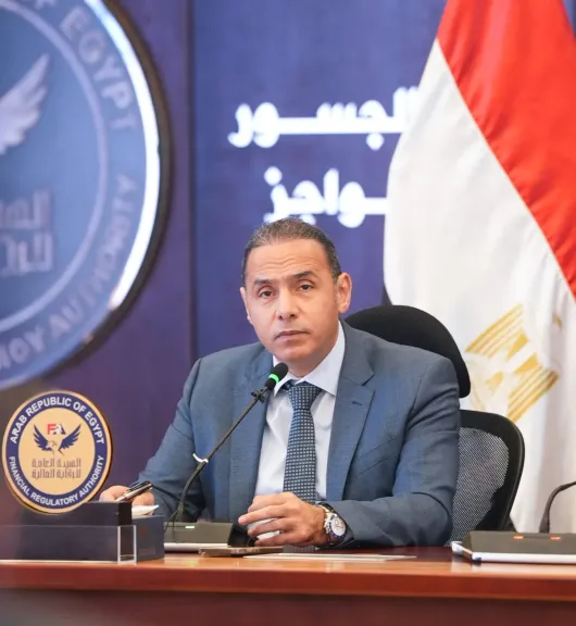 ”الرقابة المالية” تمنح الموافقة لشركتين على مزاولة الأنشطة باستخدام التكنولوجيا المالية